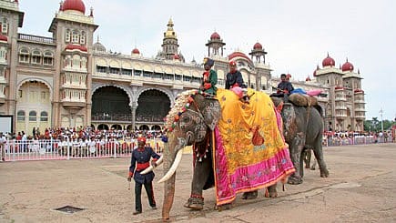 Royal Family Challenges State Over Mysuru Dasara