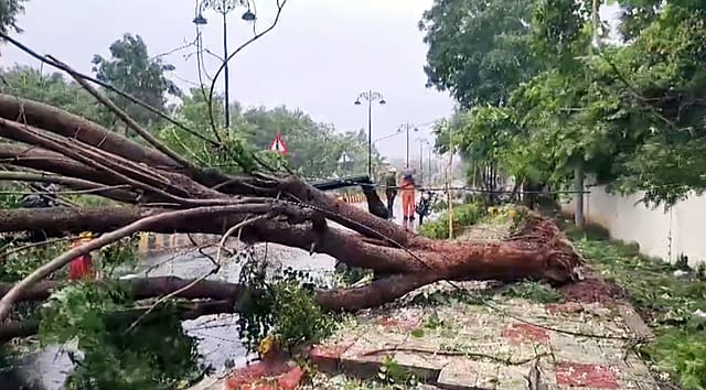 Cyclone Arnab uprooted trees across coastal Andhra Pradesh on Wednesday. More than 1.8 lakh people were evacuated in Andhra Pradesh and Odisha ahead of the storm Cyclone Arnab uprooted trees across coastal Andhra Pradesh on Wednesday. More than 1.8 lakh people were evacuated in Andhra Pradesh and Odisha ahead of the storm