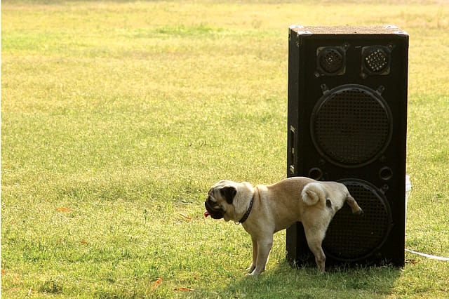 Images of Liberty Images of Liberty