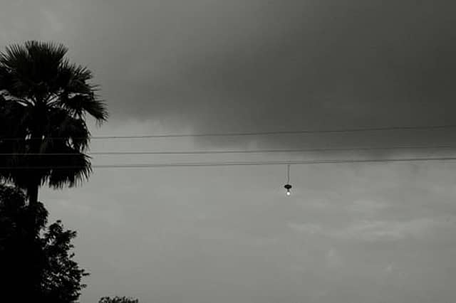 In One’s Own Company