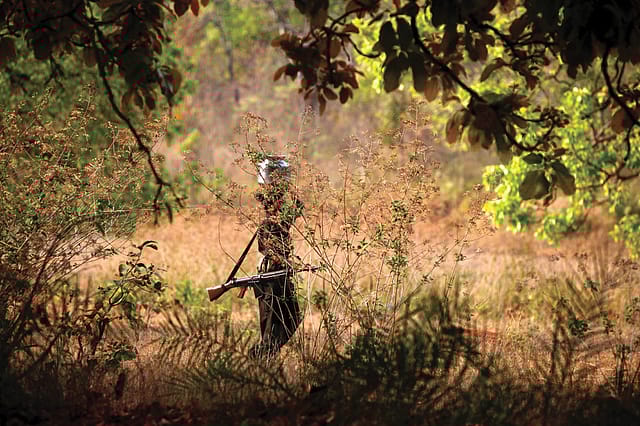 Where the Gun Is a Limb