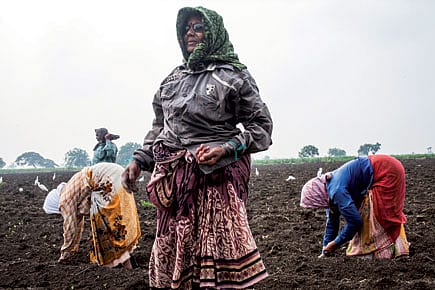 Another Day in Paradise