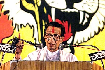 The Tiger’s Healthy Stripes