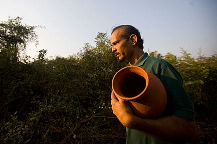 The Kindness Campaign