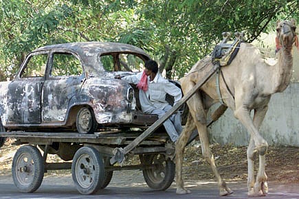 The death of an authority symbol