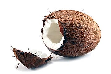 A Nut Case Competition