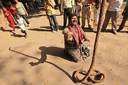 Hope Slips for the Rope Trick