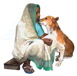 Dog Acquitted after Long, Reformed