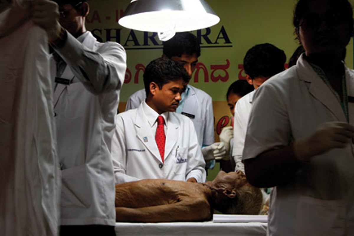The Dissection Man
