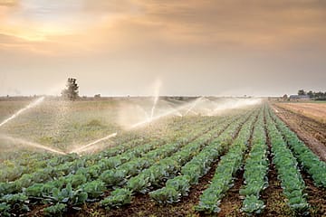 An Elemental Tragedy