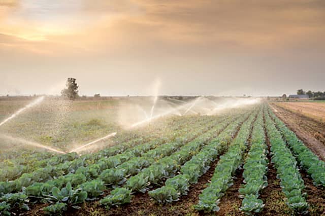 An Elemental Tragedy