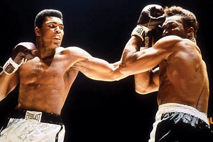 Stinging in the Pain