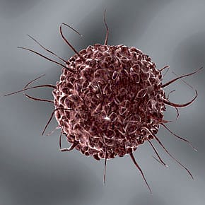 Interpretations of a Malady