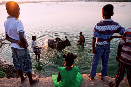 The Horns of a Cultural Dilemma