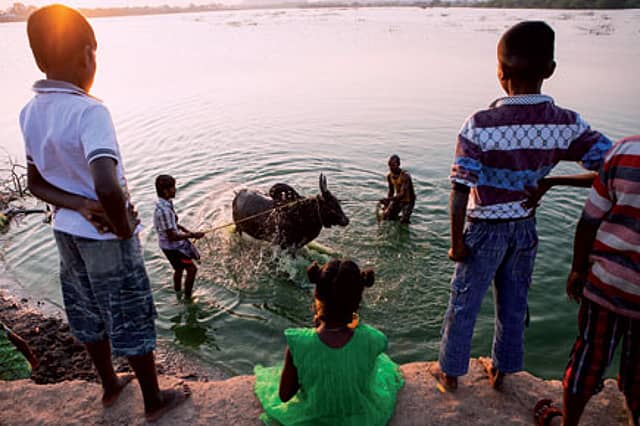 The Horns of a Cultural Dilemma