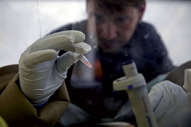 The Ebola virus outbreak