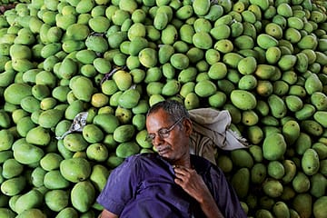 EU’s import ban on Indian mangoes