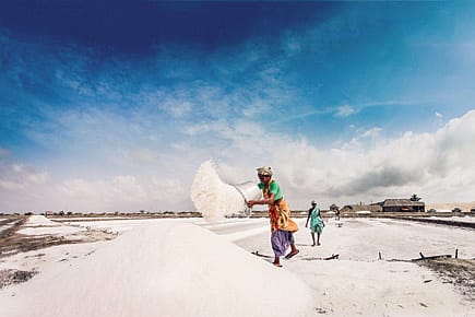 A Lament from the Deep South