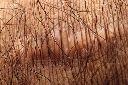 Question of Identity