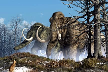 The Mammoth wipeout