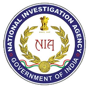 Vigilance as the Price of Domestic Security