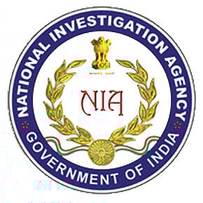 Vigilance as the Price of Domestic Security