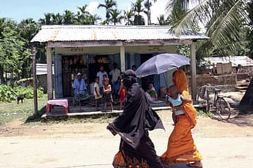 The Wounds of Nellie