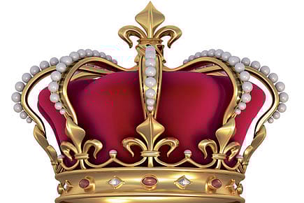 Why strong leaders are highly vitaminised