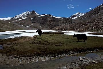What Are Men to Rocks and Mountains?