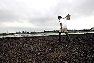 India’s Crop Crisis