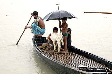 Don’t Worry, It’s Only a Flood