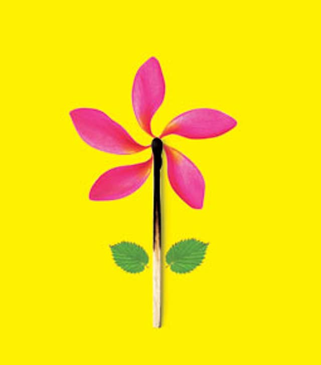 Rising from the ashes, slowly