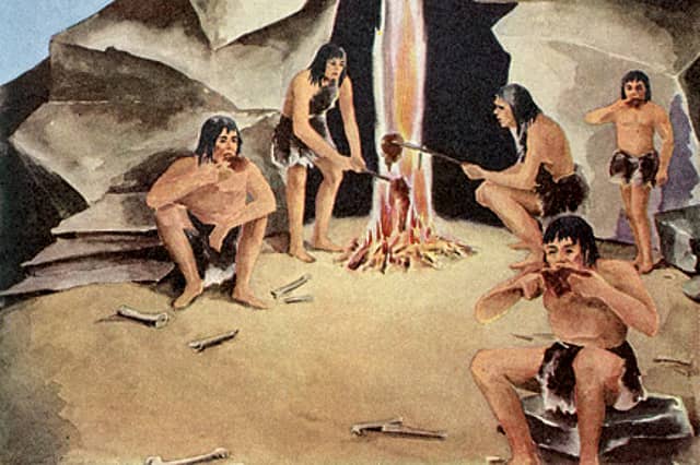 The Neanderthal diet