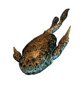 Early Sex