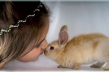 The Genetics of Taming