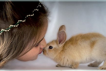 The Genetics of Taming