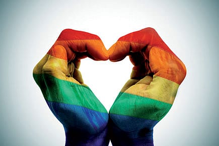 The Homosexuality Effect