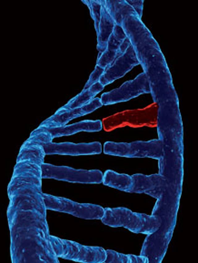 Counterintuitive Facts