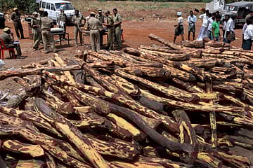 How to make the most of contraband