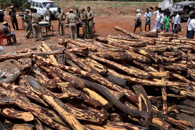 How to make the most of contraband