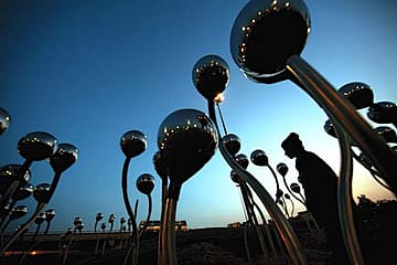 Museum without Walls