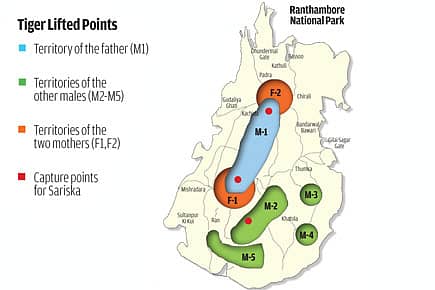 Two Sisters and a Brother Sent to Sariska