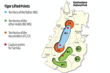 Two Sisters and a Brother Sent to Sariska