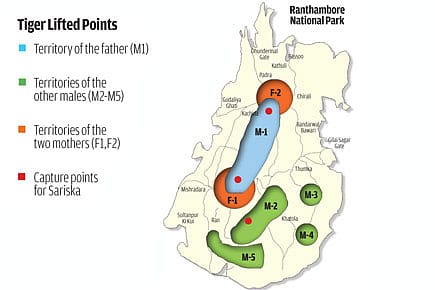 Two Sisters and a Brother Sent to Sariska