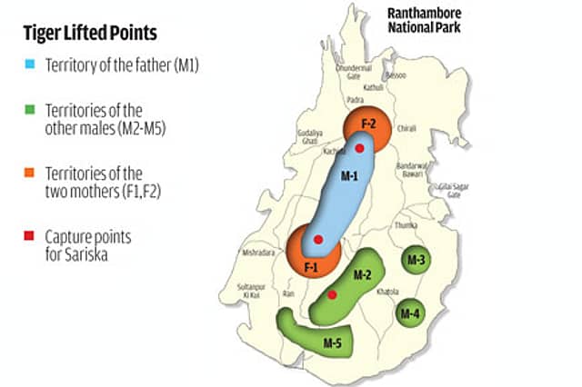 Two Sisters and a Brother Sent to Sariska