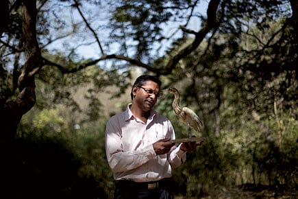 How I Became India’s Only Wildlife Taxidermist