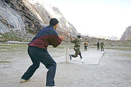 The Height of Cricket