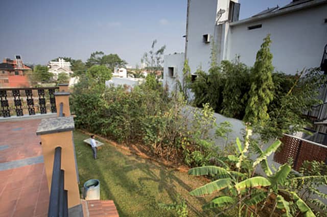 Don’t Miss the Woods