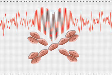 We, the Guinea Pig Nation