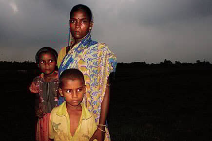 A Script Gone Horribly Wrong